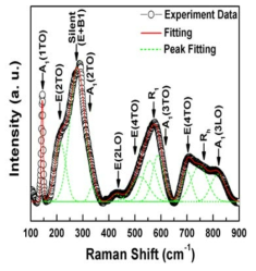 PAA 투입량 R = 1일 때의 PZN-PZT 나노입자의 Raman spectrum.