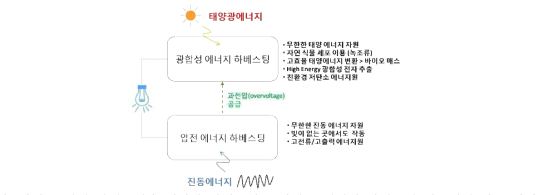 바이오/압전 하베스팅을 결합한 하이브리드 바이오 에너지 하베스팅 시스템의 기본 개념도