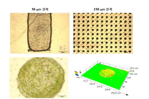 젯팅 간격 변화에 따른 패턴 관찰 및 250 μm 간격 시 액적의 확대 이미지.