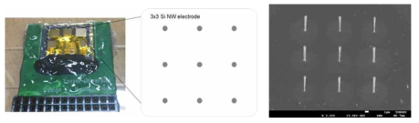 나노 전극 시스템 이미지