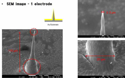 금박막 증착후 니들의 SEM 이미지.