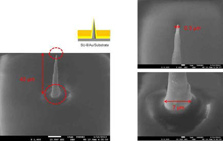SU-8으로 passivation 후 니들형 전극의 SEM 이미지.