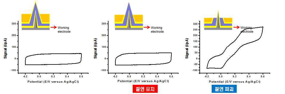 금박막의 선택적 에칭 전후 파릴렌 박막에 의한 전극간 절연유지 시험.