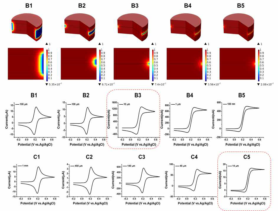 COMSOL 시뮬레이션을 통한 밴드형 전극과 일반형 전극의 확산분포 및 마이크로 전극CV형성을 위한 면적분석. 밴드형 전극의 경우, B3 전극(면적: 6.28 x 10-3 mm2)에서 구형확산 및 마이크로 전극의 CV 특성확인. 일반형 전극의 경우 동일현상의 관찰을 위해서는 10배 이하의 면적을 가지는 C5 전극(면적: 6.28 x 10-4 mm2)이 필요한 것으로 분석됨.