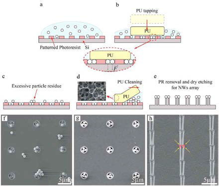 (a-b) 습식 두드림 공법을 통한 나노입자 배열 모식도, (c-e) 습식 두드림 공법을 이용한 실리콘 나노탐침 어레이 제작 모식도, (f-h) 습식 두드림 공법을 이용해 제작되는 실리콘 나노탐침 SEM 이미지.
