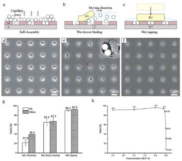 (a, d) Capillary force를 이용한 Self-assembly로 나노 입자를 채워넣은 결과, (b, e) 습식 닥터블레이딩 기법으로 나노 입자를 채워넣은 결과, (c, f) 습식 두드림 공법으로 나노 입자를 채워넣은 결과, (g) 각 기법에 따라 cavity가 나노입자로 채워지는 비율, (h) 나노입자 수용액의 입자 농도에 따른 cavity 채움 비율 그래프.