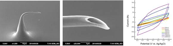 수평 방향 고분자 나노전극의 전자현미경 이미지와 이를 이용하여 순환전압전류법을 통해 측정된 실험 결과.