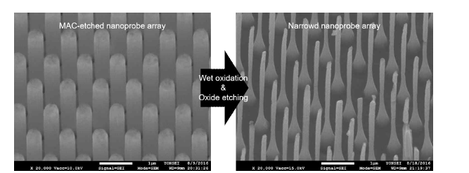 MAC-etching을 통해 제작하고 구조를 제어한 대면적 나노 전극 어레이 구조체.