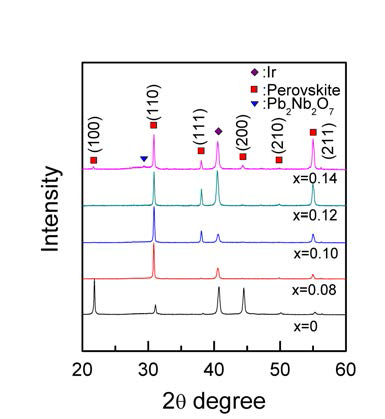 Nb doping 함량에 따른 Pb1.3(Zr0.52Ti0.48)1-xNbxO3 (x = 0, 0.08, 0.10, 0.12, 0.14) 박막의 XRD patterns.