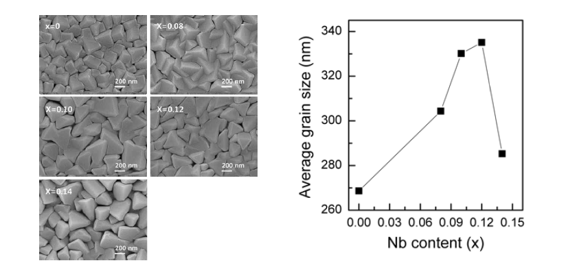 Nb doping 함량에 따른 Pb1.3(Zr0.52Ti0.48)1-xNbxO3 (x = 0, 0.08, 0.10, 0.12, 0.14) 박막의 표면 미세구조.