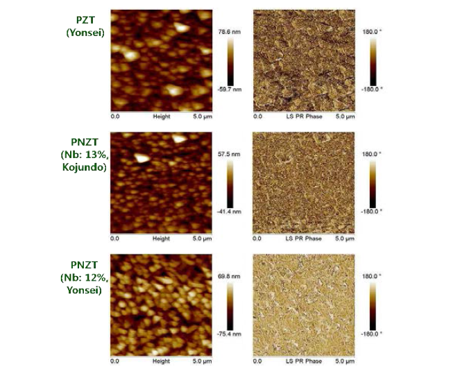 Pb1.3(Zr0.52Ti0.48)1-xNbxO3 (x = 0, 0.12) 박막의 조성에 따른 amplitude 및 phase 변화와 상업용 타겟을 이용하여 증착된 박막의 amplitude 및 phase 변화 비교.