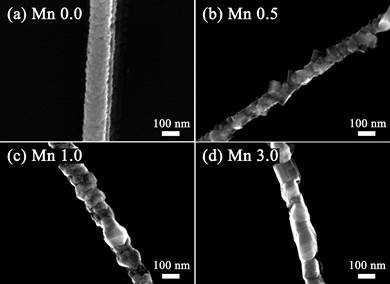 750˚C에서 열처리된 Mn 의 농도 별 NKN nanofiber의 SEM 사진.