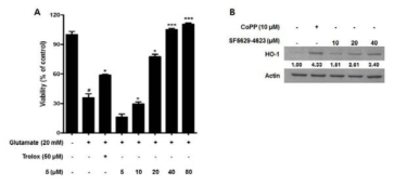 Effects of SU2010-4623 (5) on glutamate-induced oxidative neurotoxicity (A), and heme