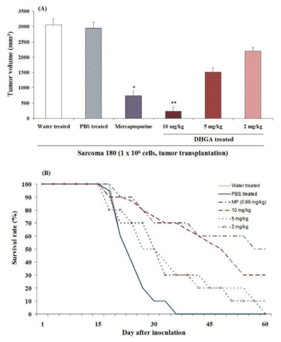 Inhibition of tumor volume by meso-dihydroguaiaretic acid. (B) Change of survival rate by DHGA treatment. Sarcoma 180 cell was inoculated s.c. into mice. MP (mercaptopurine, 0.96 mg/kg), meso-dihydroguaiaretic acid (10, 5, 2 mg/kg) were p.o. administrated to mice for 24 days starting from 1 day before inoculation. The tumor volume was determined 24 days after inoculation. Determination of the tumor volume was described in text. Data are the mean ± S.E.M (*p<0.05 vs. tumor transplantation groups; **p<0.01 vs. control group).