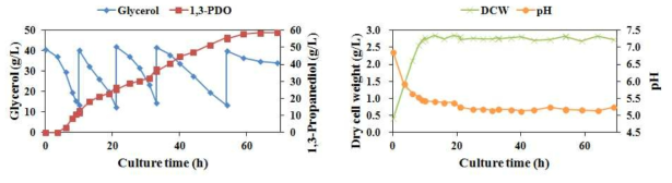 Time profiles of bioconversion of glycerol to 1,3-PDO by growing cells of K. pneumoniae AJ4-ES01