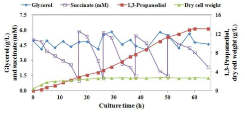 Time profile of 1,3-PDO fed-batch fermentation by recombinant E. coli JM109 (JM-30BY15AB) at 30 °C for 65h.
