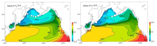 해빙 모듈을 포함하는 경우(case1) 태평양 σθ=26.8 밀도면에서의 10년 평균 염분 분포 (좌), 해빙을 포함하지 않는 경우(case2)의 동일 밀도면에서의 10년 평균 염분 분포(우).