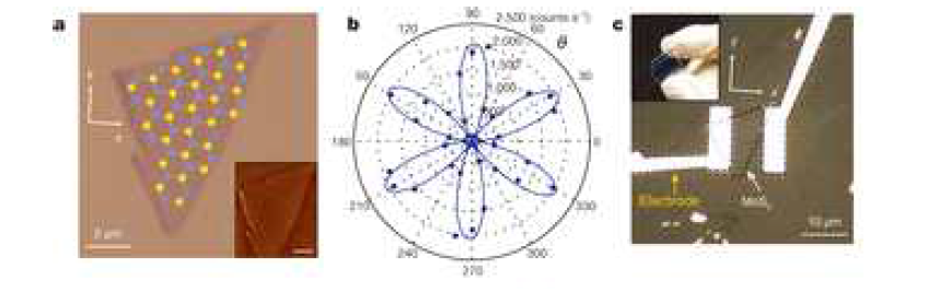 Monolayer MoS2 flake의 광학 이미지와 소자 구조