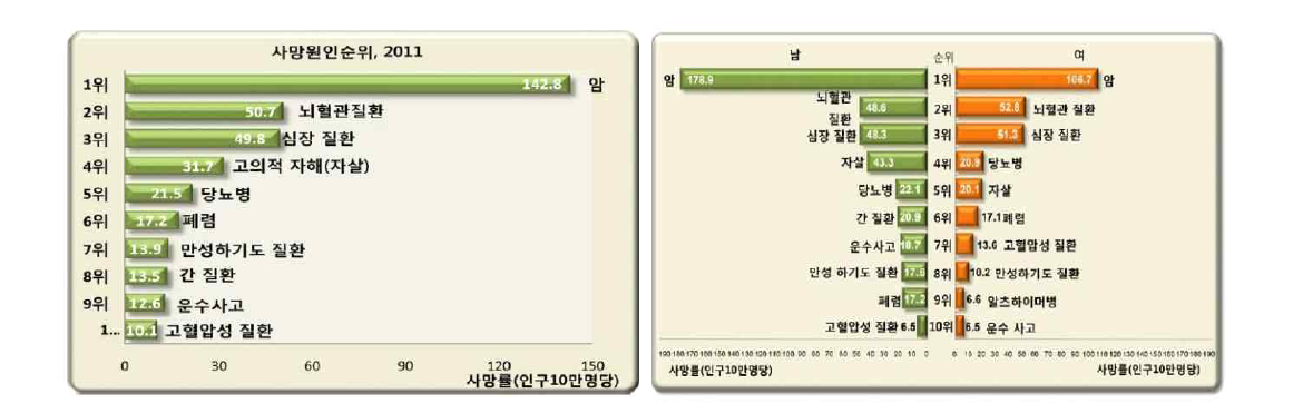 2011년 국내 사망원인