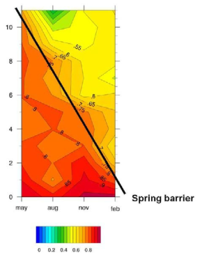 Hovmöller diagram of 1 year forcasts of NINO3.4 .