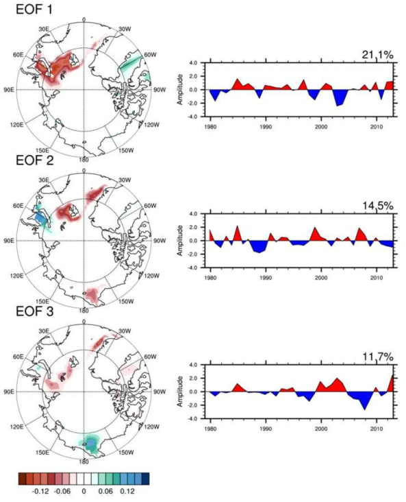 EOFs of Nov-Dec mean sea ice concentration.