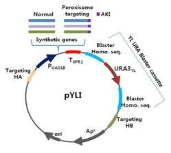 Y. lipolytica용 유전체 삽입(pYLⅠ) vector map