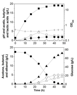 C. acetobutylicum PJC4BK/pPta-HfqEco의 회분식 배양