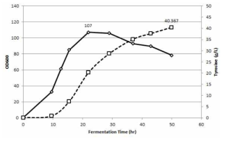 타이로신 생산량 증가를 위한 유가식 발효 공정 결과 (DO-stat, 배지 내 암모늄염 농도 증가), 다이아몬드: 세포 성장 곡선, 네모: 타이로신 생산 곡선