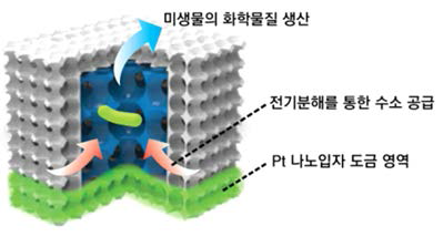 수소 생산 다공성 전극 모식도