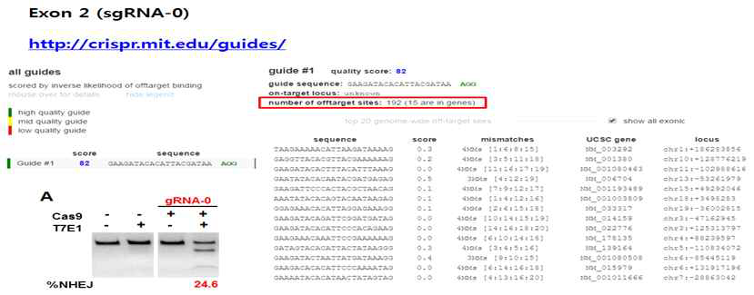 CRISPR Design Tool을 이용한 guide RNA 디자인 및 T7E1 assay를 이용한 CRISPR/Cas9 시스템 확인