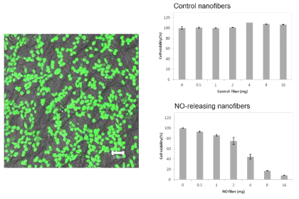 N-diazeniumdiolate기반 NO 분비 나노섬유의 세포독성 평가.