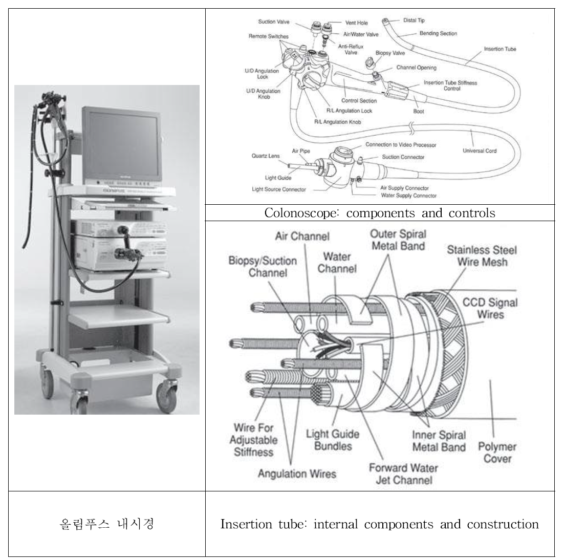 내시경 구조 및 부품 구성