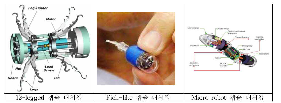 기계적 메카니즘에 의한 구동 방식의 캡슐 내시경