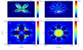 4PF 구조물(좌) 8-PF 구조물(우)의 전기 장 분포