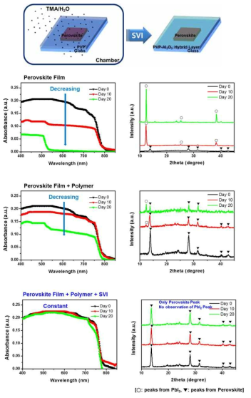 UV-VIS 분광분석법과, XRD 분석을 통하여 Encapsulation 고분자 복합박막 적용 유무에 따른 페로브 스카이트 필름 수명 비교