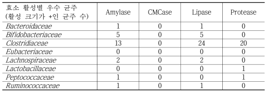 혐기성 세균 자원의 효소 활성 조사 결과 분석