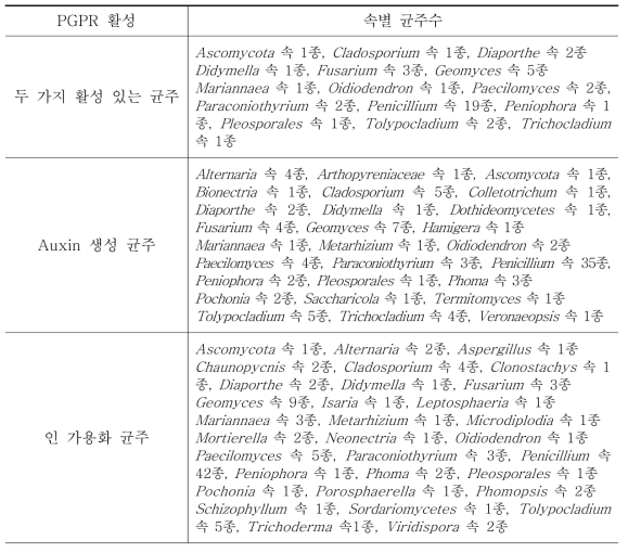 곰팡이자원의 PGPR 활성 조사 결과 분석