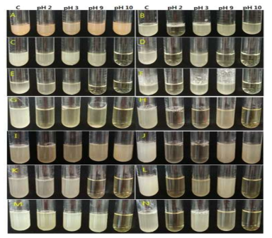효모균주의 pH별 생육 테스트 결과