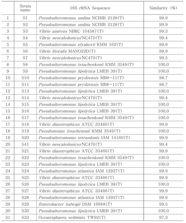 해양유래 미생물 동정 결과