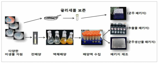 미생물 자원에 대한 균주생산물, 추출물 및 다양한 패키지 제조 과정