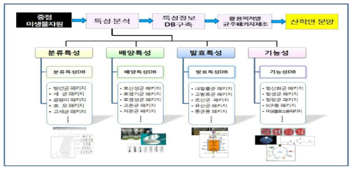 활용 목적별 균주 패키지 제작 모식도