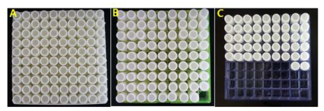 세균균주 패키지 A: 산성에서 생육 가능한 세균 균주 패키지 (148주) B: protease 활성이 높은 세균 균주 패키지(80주) C: PGPR 활성이 있는 세균 균주 패키지 (47주)