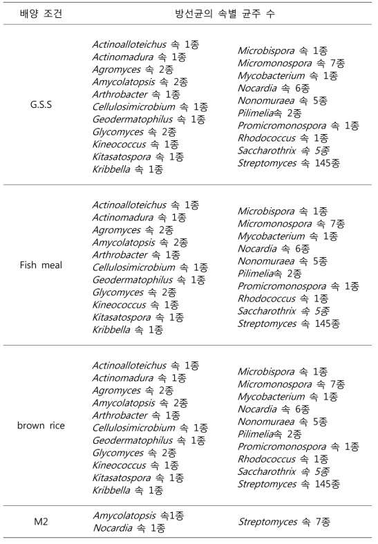 추출물 제작을 위한 배지별 방선균 목록