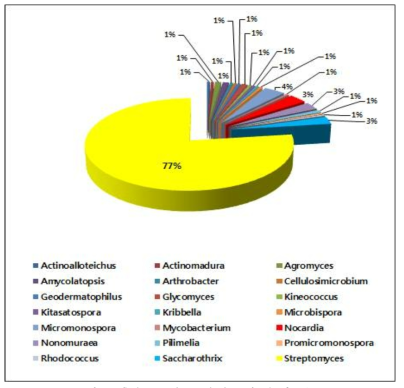 추출물 제조 방선균의 속별 분포도