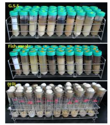 방선균 자원 추출물 제작 위한 배지 종류에 따른 배양체 결과 사진