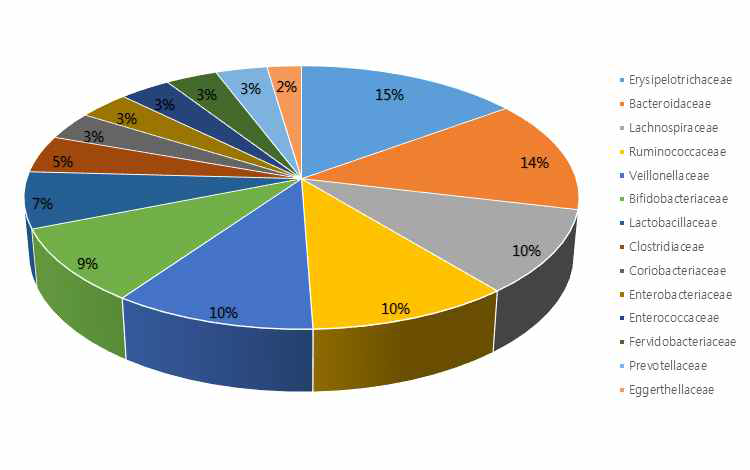 단백체 제조에 사용된 혐기성세균의 과(family)별 분포도