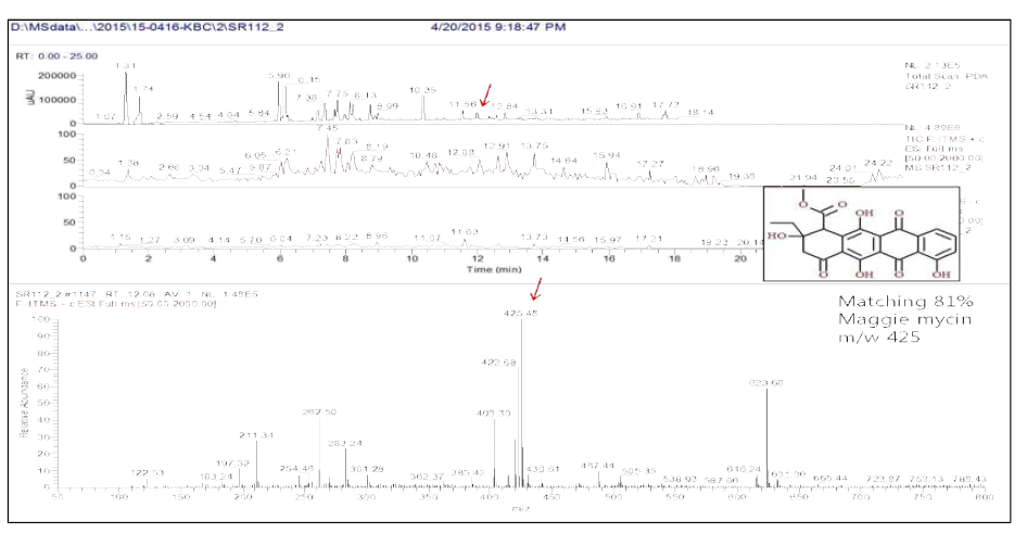 혐기성 세균 SR112-2 균주의 RT 12.06분 peak의 LC-MS 분석결과