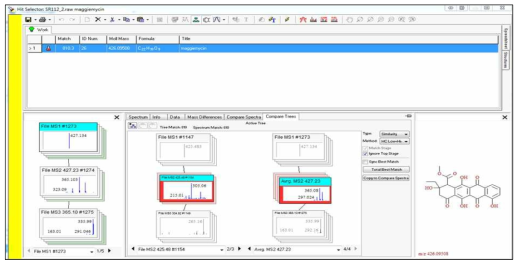 Maggiemycin 과 SR112-2 균주로부터 얻은 m/z 425.4 peak의 Mass Frontier 프로그램을 활용한 mass fragmentation pattern 분석 화면