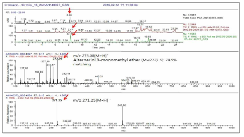 AN140373 균주의 GSS 배지 배양액의 Total mass spectrum 과 RT 8.17 min peak의 LC-MS 분석결과 alternariol 9-monpmethyl ether 와 낮은 유사도를 보임.