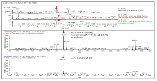 AN1091530 균주의 GSS 배지 배양액의 Total mass spectrum 과 RT 10.43 min peak의 LC-MS 분석결과 tetracycline 유사체임을 확인